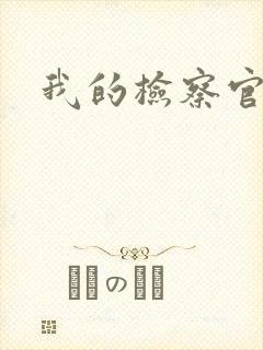 我的检察官先生