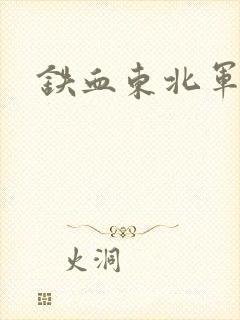 铁血东北军