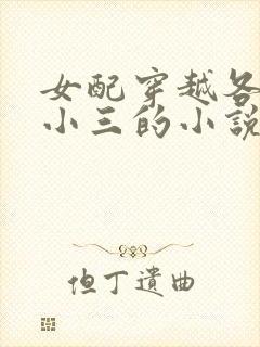 女配穿越各个做小三的小说