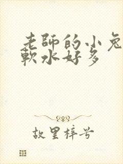 老师的小兔子好软水好多