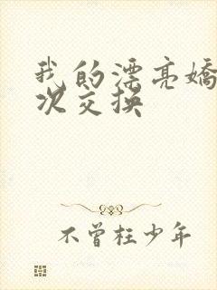 我的漂亮娇妻初次交换