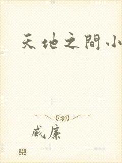 天地之间小说