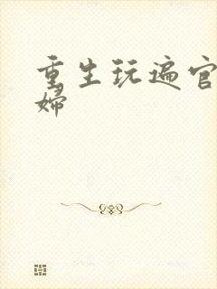 重生玩遍官场贵妇