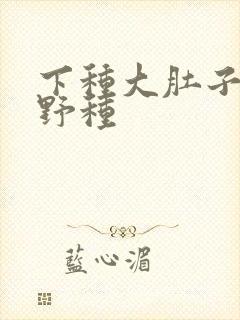 下种大肚子怀孕野种