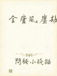 金庸风尘劫