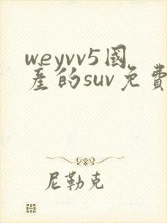 weyvv5国产的suv免费