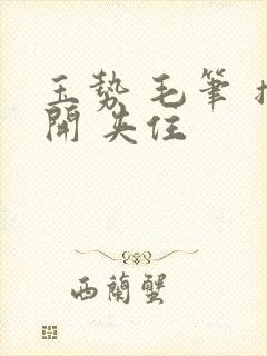 玉势 毛笔 撑开 夹住