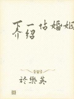 下一站婚姻剧情介绍