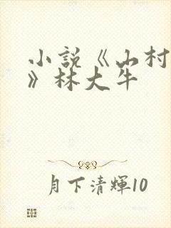 小说《山村情事》林大牛