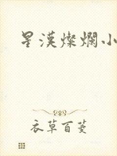 星汉灿烂小说