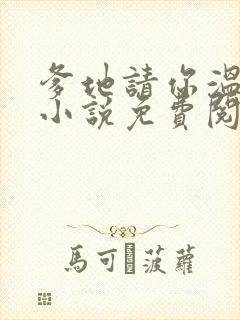 爹地请你温柔点小说免费阅读