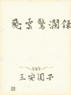 飞云惊澜录