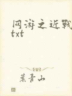 网游之近战法师txt
