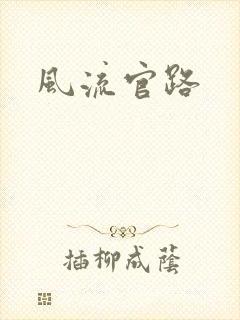 风流官路