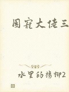 团宠大佬三岁半