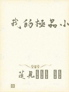 我的极品小姨