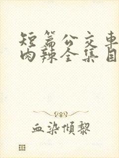 短篇公交车高h肉辣全集目录