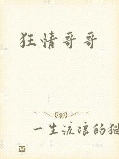 狂情哥哥
