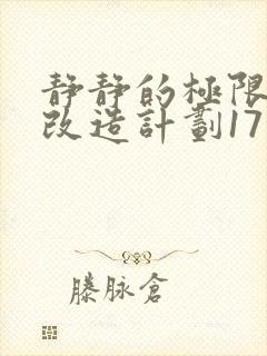 静静的极限自我改造计划17