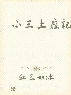 小三上瘾记