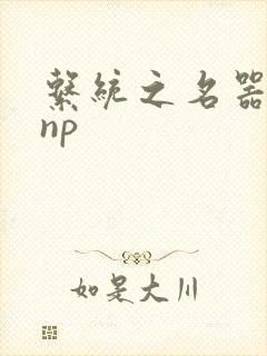 系统之名器攻略np