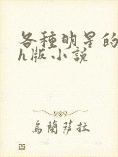 各种明星的综艺h版小说