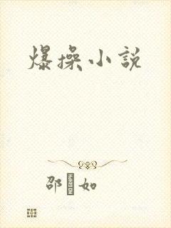 爆操小说