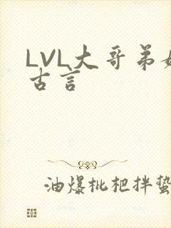 LVL大哥弟媳古言