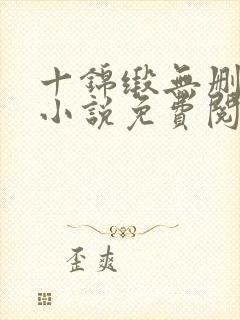 十锦缎无删原著小说免费阅读