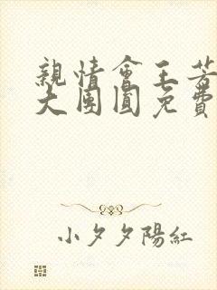 亲情会王芳高敏大团圆免费阅读