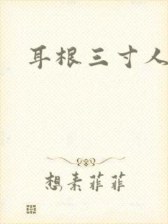 耳根三寸人间