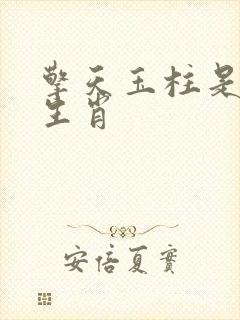 擎天玉柱是什么生肖