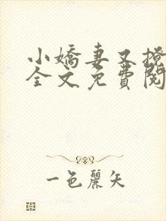 小娇妻又撩又甜全文免费阅读