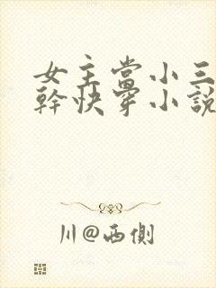 女主当小三的高干快穿小说禾火火