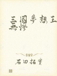 三国梦想王元姬无惨