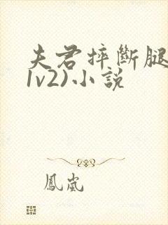 夫君摔断腿后(1v2)小说