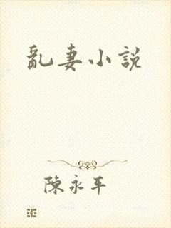 乱妻小说