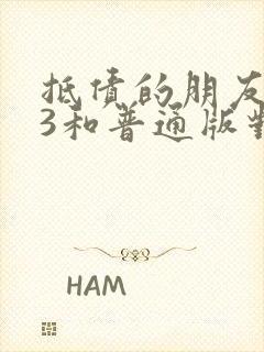 抵债的朋友麦子3和普通版对比