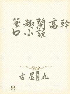 笔趣阁高干文入口小说