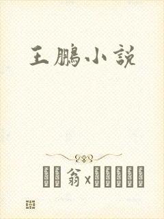 王鹏小说