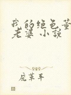 我的绝色董事长老婆 小说