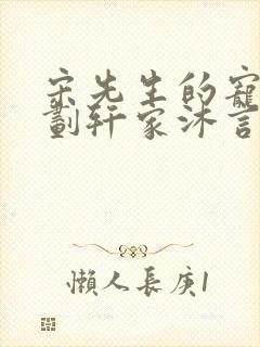 宋先生的宠妻计划轩家沐言