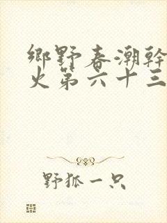 乡野春潮干柴烈火第六十三章