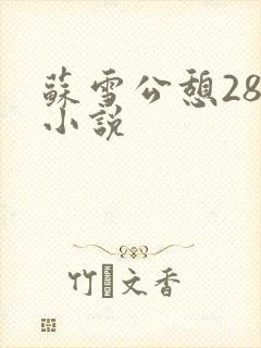 苏雪公憩28篇小说