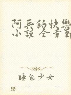 阿兵的快乐生活小说 全章节阅读免费