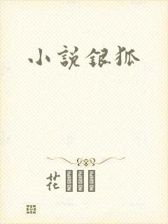 小说银狐