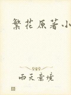 繁花原著小说