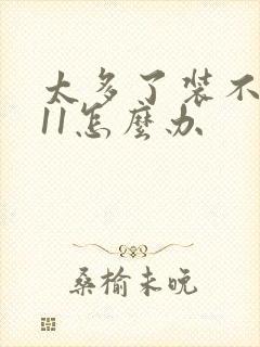 太多了装不下h11怎么办