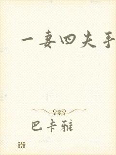 一妻四夫手记