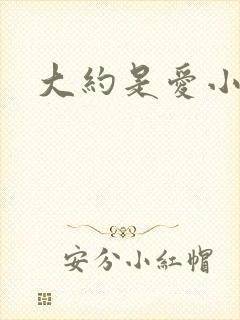 大约是爱小说